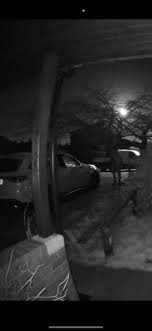 Anyone available to help me move a sofa from Harwood to rawtenstall? 🙂