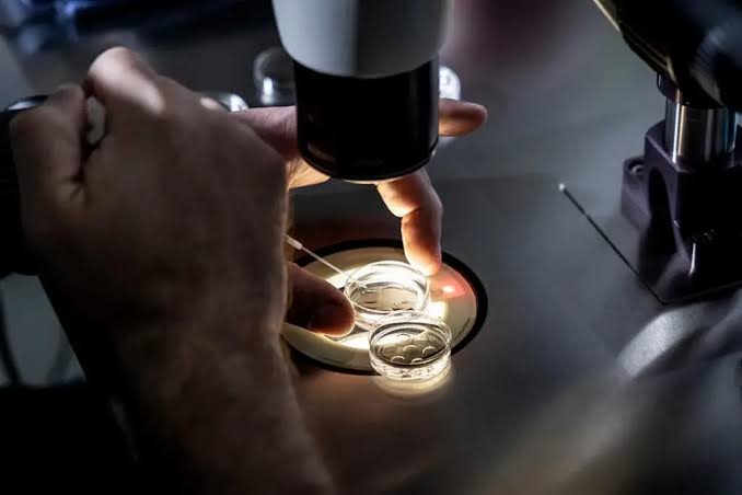 7 Key Pros and Cons of Assisted Reproduction: Expert Insights