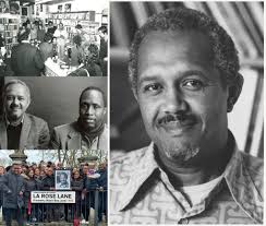 toni bellaroba wikipedia