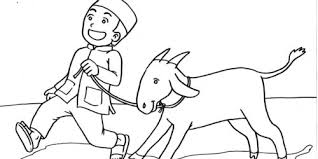 Karena mewarnai gambar ini sangat banyak memiliki manfaat. 45 Gambar Mewarnai Idul Qurban Terlengkap Kumpulan Gambar Mewarnai