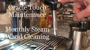 One of them is oracle touch by breville. Breville Oracle Touch Maintenance Monthly Steam Wand Cleaning Fix Frothing Issues Youtube