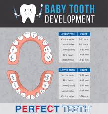 When a child is reported missing, regardless of the reason or case, federal law requires that child be entered into the fbi's national crime information center, and similar practices are seen also in europe and other countries. What Every Parent Needs To Know About Kids Losing Teeth Perfect Teeth
