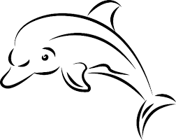Check spelling or type a new query. How To Draw A Dolphin Step By Step For Kids Beginners