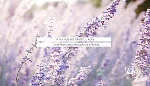 Maybe you would like to learn more about one of these? February 16 21 2020 Daily Dose Wallpapers Verily