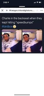 Find and save best bird box memes | from instagram, facebook, tumblr, twitter & more. Bird Box Meme Enjoy The Best Bird Box Memes That Will Amke You Laugh And Laugh Out Loud Lau Lustige Witze Fur Kinder Tumblr Witzig Sarkastische Zitate Lustig