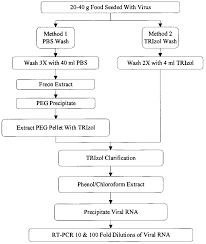 flow chart for detection of viruses in foods download