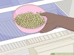 How To Sprout Mung Beans 12 Steps With Pictures Wikihow