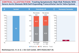 Self Expanding Transcatheter Aortic Valve System For