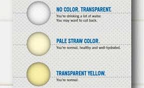 Air seni dalam kelompok warna kuning menandakan urin yang sehat. Terkeren 28 Gambar Warna Urin Yang Sehat Gani Gambar