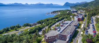 Molde is a city in møre og romsdal on the north side of the very broad moldefjord. About Molde University College English