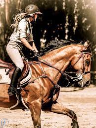 Horseriding Horserider Equine What I Ll Be Doing Every Day When We Get Lost Creek Stables Built Pferde Reiten Pferdeliebe