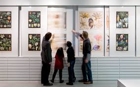 One floor is intended for temporary exhibitions, the other two are for permanent exhibition presenting botanical collections of 60,000 objects. Loki Schmidt Haus Atelier Bruckner