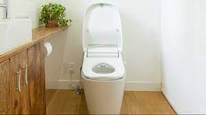 肛門科医が教えるトイレの｢正しい使い方｣ ｢お尻の洗いすぎ｣で引き起こされるトラブル | 健康 | 東洋経済オンライン