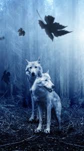 This wallpaper shows two wolves in a forest. Wolf Iphone Wallpapers Top Free Wolf Iphone Backgrounds Wallpaperaccess 8 Phone Wallpaper