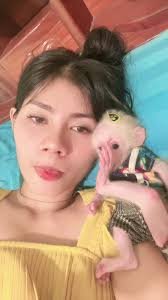 កូនម៉ុងគីដែលអស្ចារ្យវិញស្ថិតក្នុងគ្រួសារ