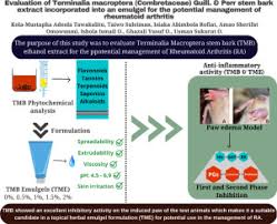 Image result for Terminalia macroptera