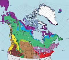 Biome mapping across north america. Late Quaternary Vegetation History Of Northern No Geographie Physique Et Quaternaire Erudit