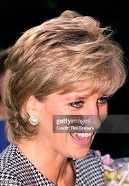 26 Princess Diana 1995 Birmingham Stock Photos, High-Res Pictures, and  Images