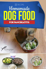 Rezept Hausgemachtes Hundefutter Gegen Pankreatitis Hundefutter Ideen Fur Hundefutter D