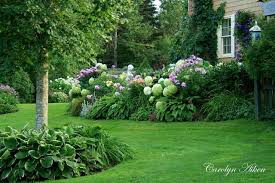 Pin By Breya Sue On Outdoors Pinterest Hydrangea Landscaping Hydrangea Garden Backyard Landscaping