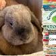 Weekly Storytime at 10:30am — The Alaska Zoo event image