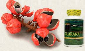 Картинки по запросу гуарана для похудения
