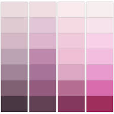 Interior Paint Colours