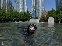 Lytton, b.c., has broken the record for the hottest temperature ever recorded in canada for a third straight day, hitting a scorching 49.6 c on tuesday. Znxtmsrkkxlj8m