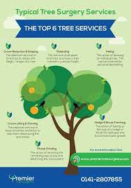 Learn About The 6 Most Popular Tree Services Offered By Tree Surgeons This Infographic Was Created By Premier Tree Service Tree Surgeons Tree Removal Service