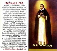 Maestro juan de ávila, predicador apostólico; 6 San Luis Beltran Estampa Laminada Oracion Ninos Proteccion