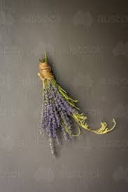 Limited time sale easy return. Image Of Dried Lavender Flowers On The Wall Austockphoto