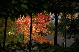 Autumn Is Gorgeous In England And The U S But There S One Big Difference Between The Two Autumn Two By Two Gorgeous