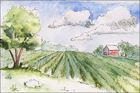 Pans are usually the most convenient for smaller work like our ink drawing, whereas tubes are more. Learning How To Draw Expressive Lines In Pen Ink Watercolor Emptyeasel Com Watercolor Sketch Art Tutorials Drawing Pen And Watercolor