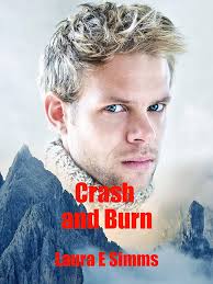 Amazon.com: Crash and Burn (The Hunter Saga Book 36) eBook : Simms, Laura  E: Kindle Store