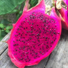 The plant's name comes today, you can buy dragon fruit throughout the u.s. Dragon Fruit Buy Fresh Pomegranate Fruits For Sale Dragon Fruit Product Dragon Fruit Powder Product On Alibaba Com