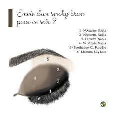 Comment Faire Un Smoky Brun En Deux Minutes Vous Aurez Besoin De Fards Nabla Cosmetics Et Purobio D Un Mascara Lily Lolo Et De Fard Comment Faire Maquillage
