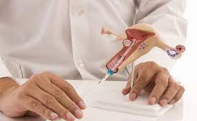 Cuando Una Secrecion Vaginal Es Anormal Integramedica