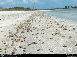 Lovers Key State Park Bonita Springs Estero