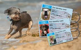 Pet id tags australia is a reputable family owned and operated retail and wholesale business since 2. Personalized Pet Id Tags For Dogs Cats Safepet