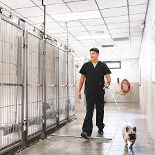 Lakeland veterinary hospital welcomes you to our website! Pet Lodging Lakeland Fl Cleveland Heights Animal Hospital