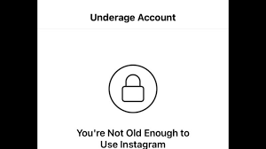 If you love architecture as much as we do, check out the 10 instagram accounts that have been distracting us recently. Petition Unlock Cat S Instagram Account Change Org