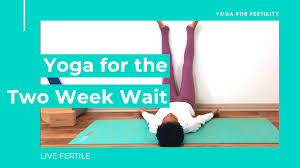 Blog Kendra Tolbert Nutrition Dietitian Yoga Teacher Aromatherapist Pcos Fertility Live Fertile In 2020 How To Do Yoga Yoga Teacher Yoga