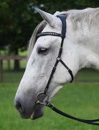 Dressage Naturally Bridle Horse Bridle Horses Bridle