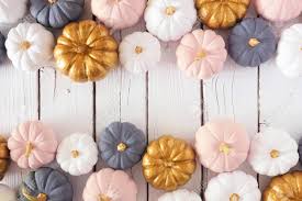 Pumpkins with fall leaves isolated on white, autumn scene. Autumn Double Border Of Dusty Rose White Gold And Gray Pumpkins Stock Photo Picture And Royalty Free Image Image 131706851