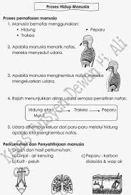 Nota Sains Tahun 4 Proses Hidup Manusia Bab 3 Fun Crayons Eduspace Bab Prose Fun
