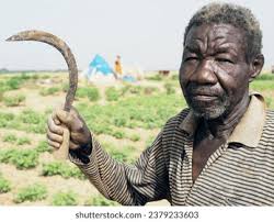 2,901 N'djamena Chad Images, Stock Photos, and Vectors