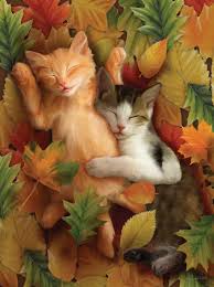 Nickerchen In Blattern Puzzle By Thomas Wood Gatinhos Fofos Pinturas De Animais Animais