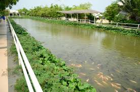 Sekin fisherman village hotel & resort. Sekin Fisherman Village Hotel Resort Sekinchan Malaysia Always Travelicious