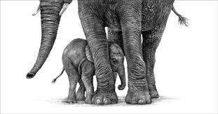 The far back leg should be extending behind the elephant. I M Not Coming Out Mother And Baby Elephant Print Wildlife Fine Art Drawings