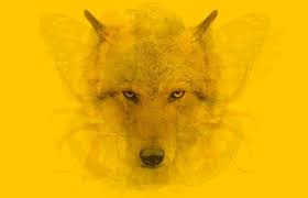 The Animal You See First In This Picture Will Tell You Everything About Your Personality Type World Facts Ftw Animals Told You So Personality Types